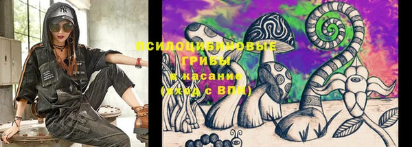 кокс Алексин