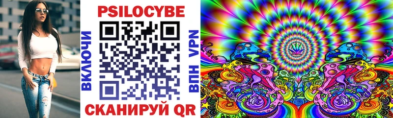 Купить где  Минусинск  Псилоцибиновые грибы мицелий 